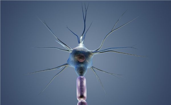 科學(xué)家馴服寄生蟲幫人類治?。嚎蓴y帶藥物進(jìn)入大腦