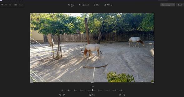功能更強大！Win11照片應(yīng)用迎來更新：圖片編輯獲得重新設(shè)計